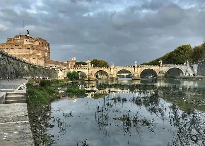 Cedro Rome