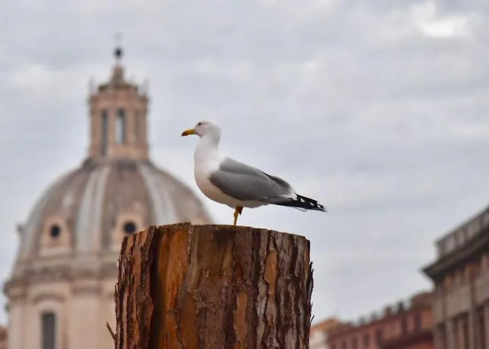 Cedro Appartement Rome